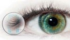 Des lentilles intelligentes