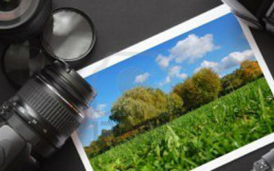 Les photos de Scarlet