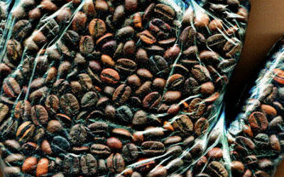 Café Crème Magazine Nº 16