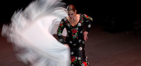 Flamenco à Malaga
