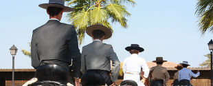 Agenda de Mijas