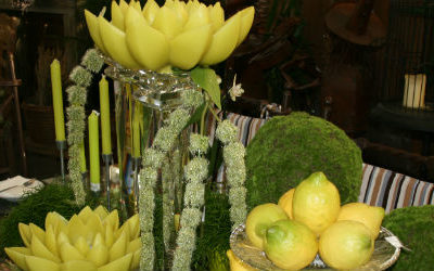 « Gastrobar » chez Agrojardin
