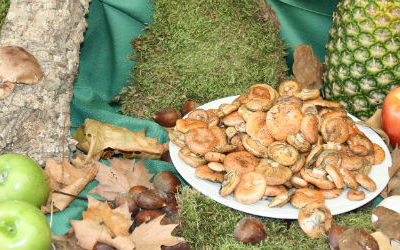 La fête des champignons chez Da Bruno