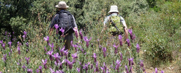 Les activités de Mijas