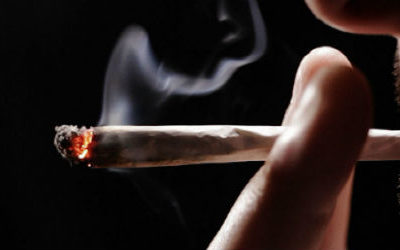 Eaze livre du cannabis…