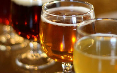 La bière féminise les hommes !