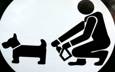 Les chiens mal propres…