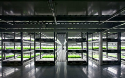 Première ferme robotisée