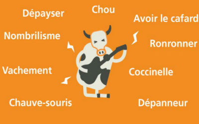Mes mots français préférés