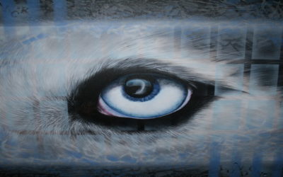 Ramce l&rsquo;artiste Cubain