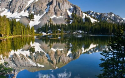 Reflets dans l’eau…