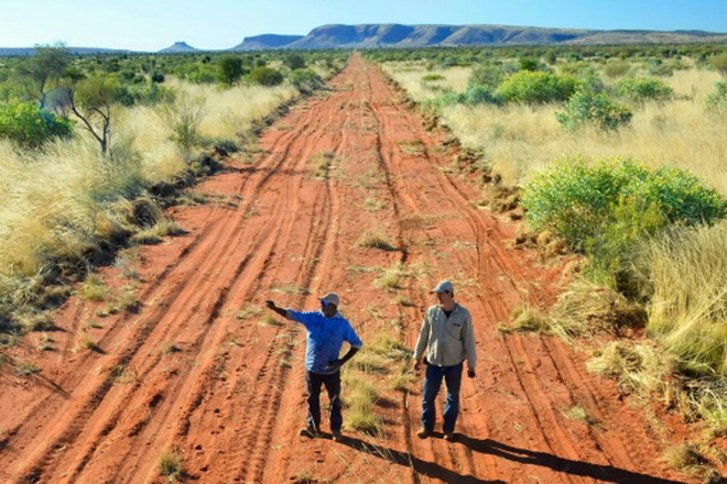 Australie: une immense clôture contre les chats