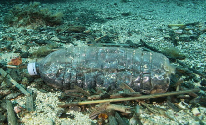 Les débris de plastique en mer confondus…