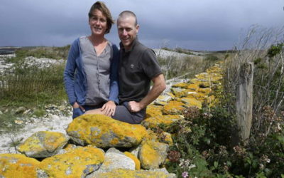 Dix ans sur un îlot breton…