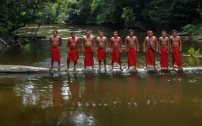 Amazonie : les tribus aiguisent leurs flèches contre les envahisseurs