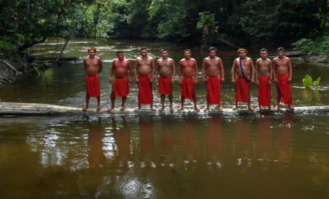 Amazonie : les tribus aiguisent leurs flèches contre les envahisseurs