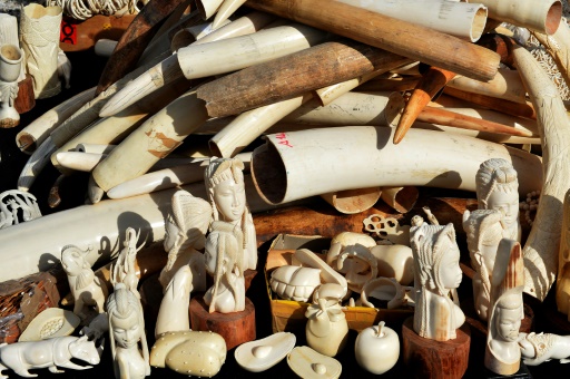 Le commerce de l’ivoire totalement interdit en Chine