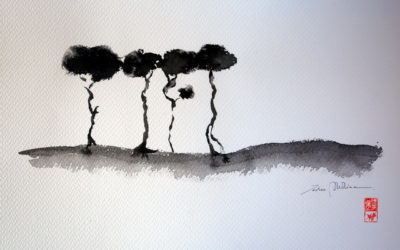 Pedro Molina à la galerie Magpie