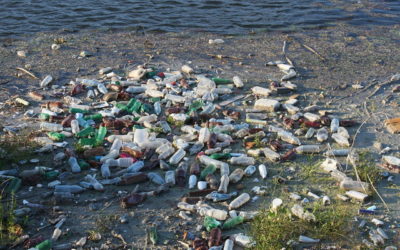 Le WWF mobilise pour sauver la Méditerranée du plastique