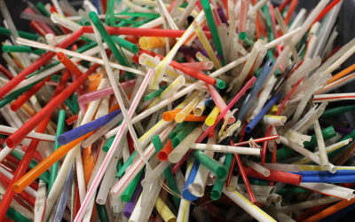 Grèce: premier été sans pailles en plastique pour une île